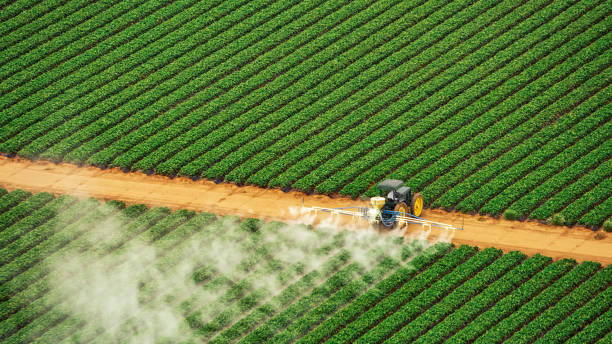 Best Termite Control Services  in Scott City, MO