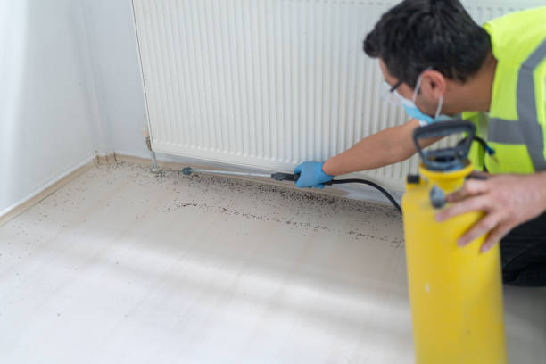 Best Residential Pest Control  in Scott City, MO